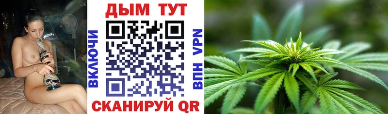 Шишки марихуана OG Kush  где купить   Нефтекумск 